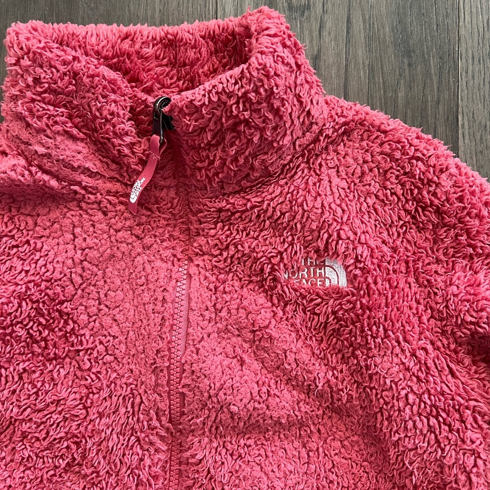 The North Face Fuzzy Zip Up Jacket
